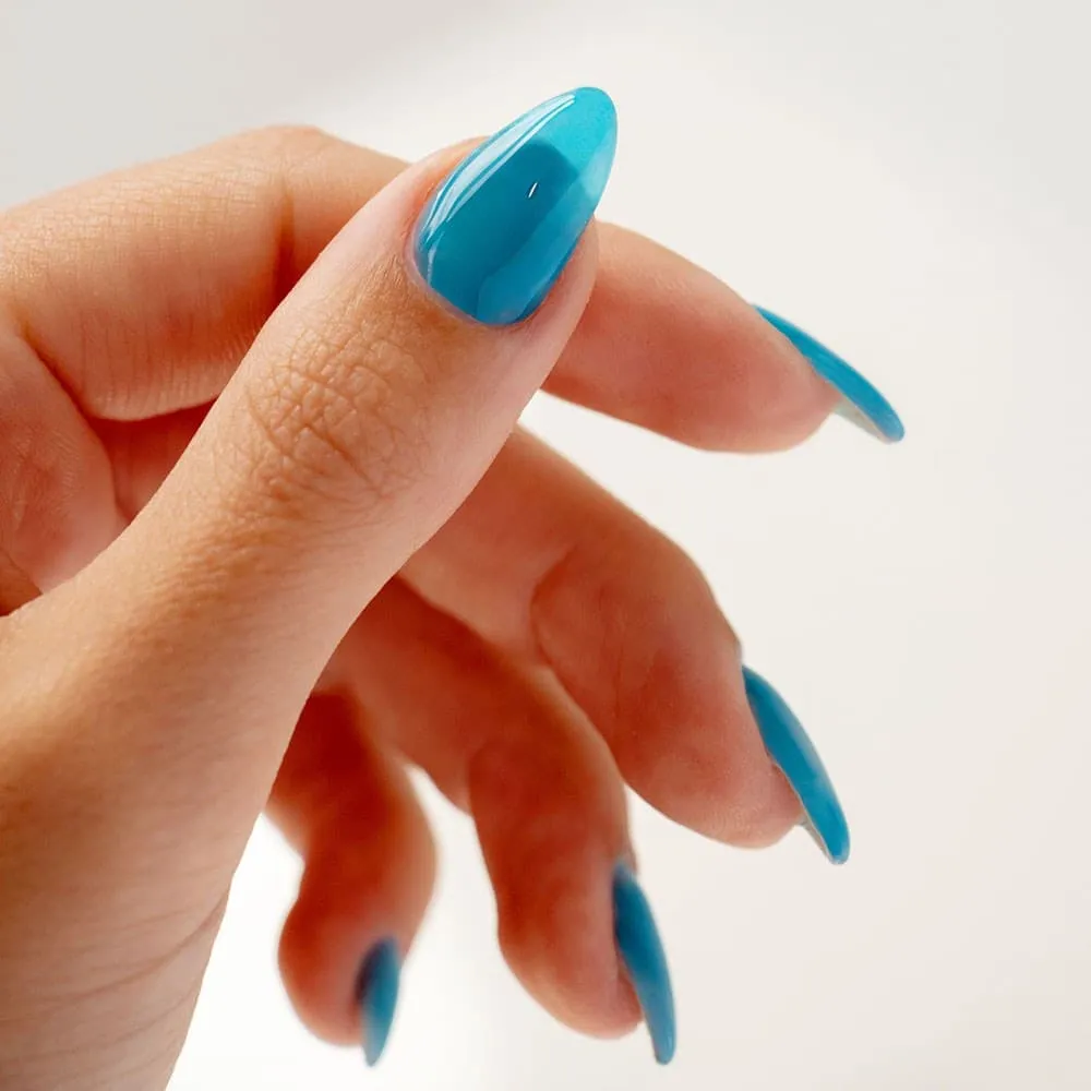 Blue Jelly