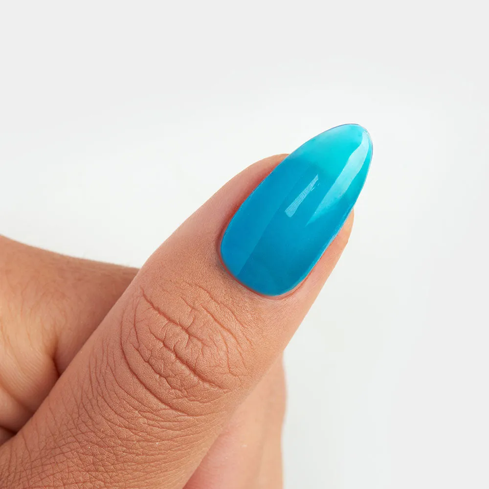 Blue Jelly