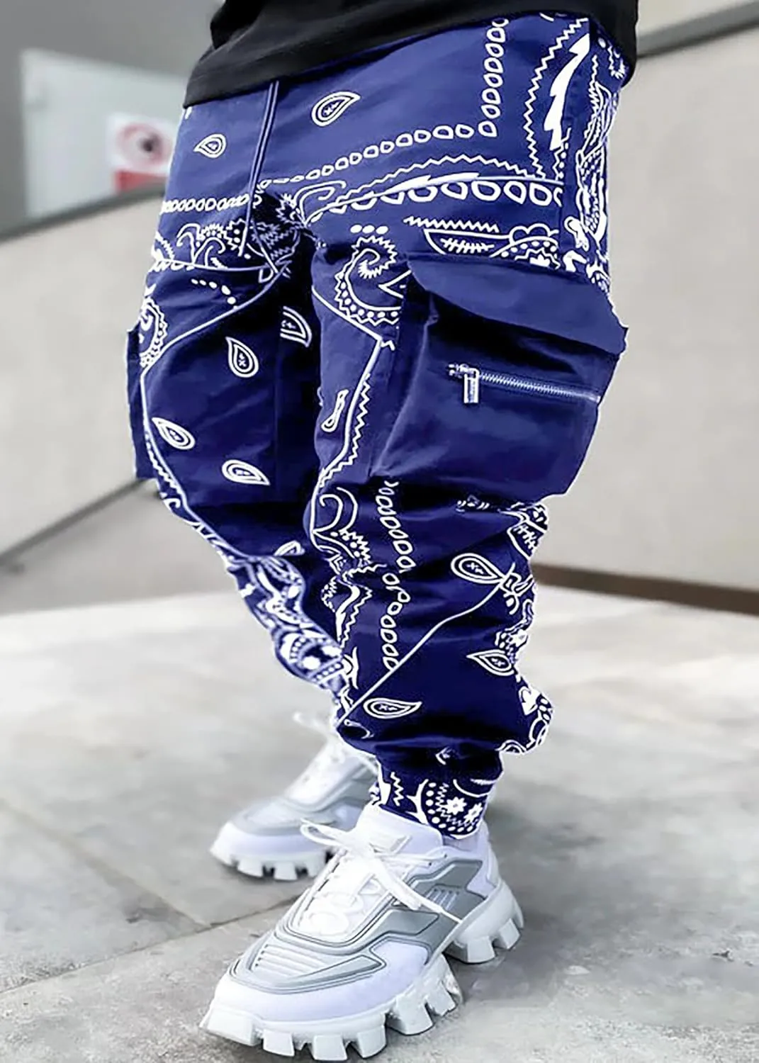 Men's Paisley Pants Cargo Jogger Hip Hop Workout Punk Pants Bandana Techwear Streetwear Sweatpants
