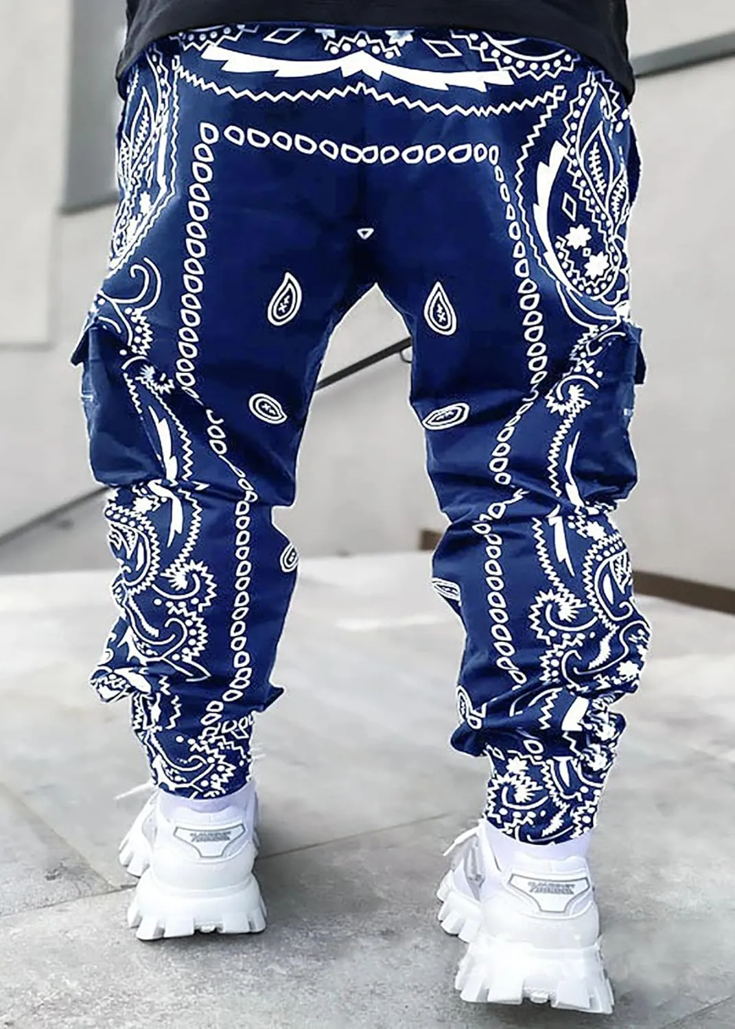 Men's Paisley Pants Cargo Jogger Hip Hop Workout Punk Pants Bandana Techwear Streetwear Sweatpants