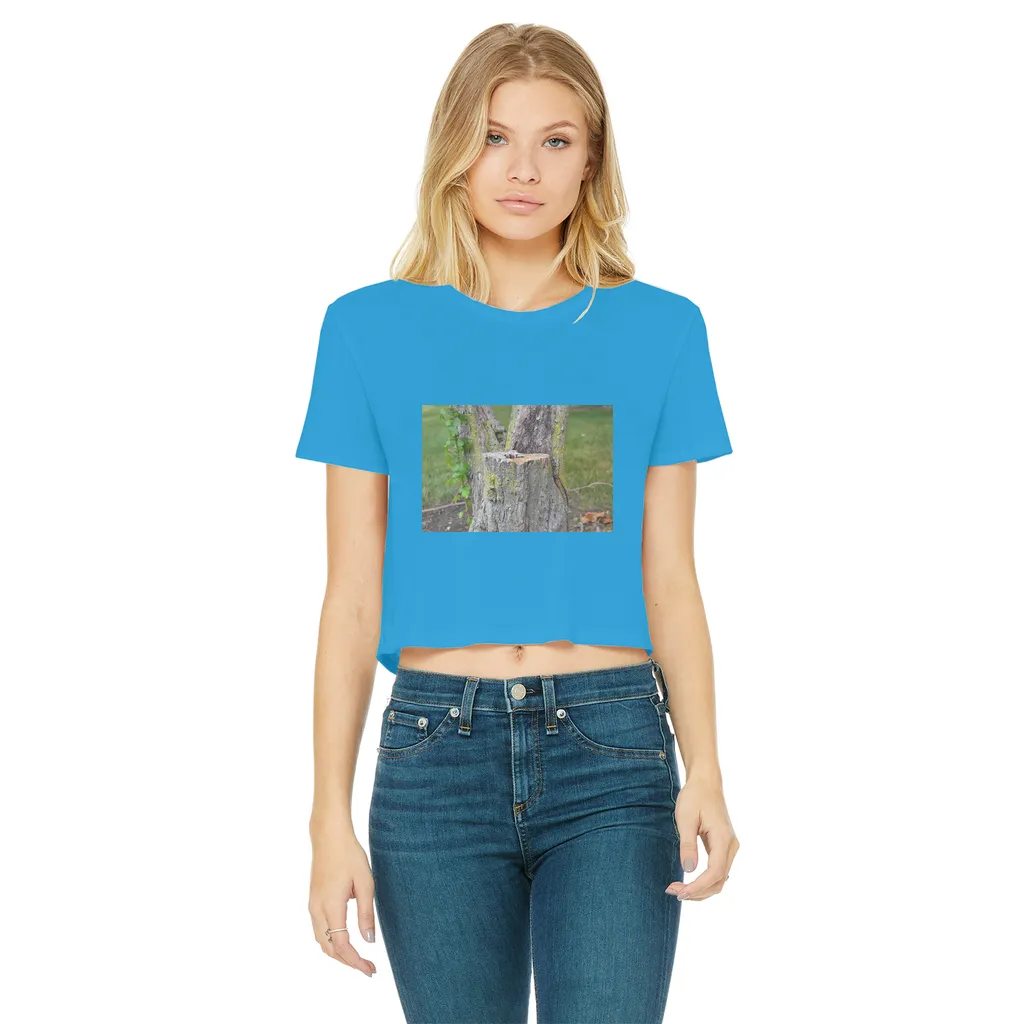 Tree Stump Classic Women's Cropped Raw Edge T-Shirt